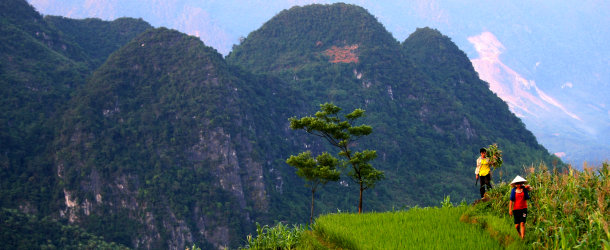 Pu_Luong_Nature_Reserve